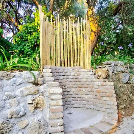 Black Olive Paramonas Corfu (city)