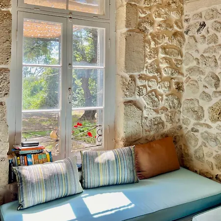 Black Olive Paramonas *