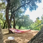 Black Olive Paramonas