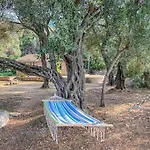 Black Olive Paramonas بيت للعطل