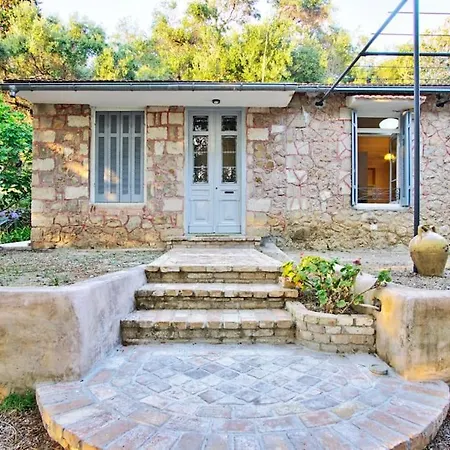 Black Olive Paramonas Corfu (city)