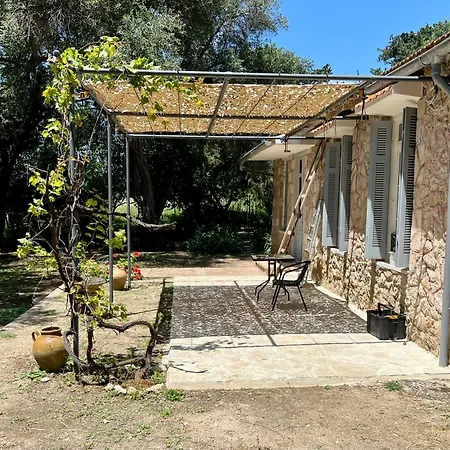 Black Olive Paramonas * Corfu (city)