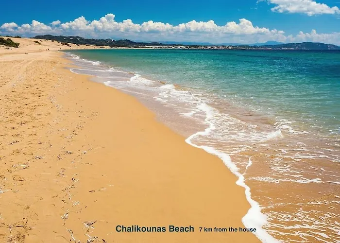 Black Olive Paramonas * Corfu (city)