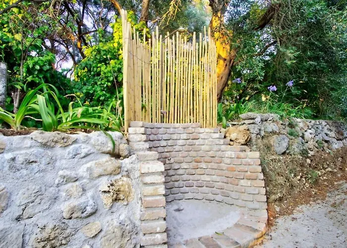 Black Olive Paramonas Corfu (city)