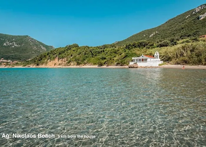 Black Olive Paramonas *