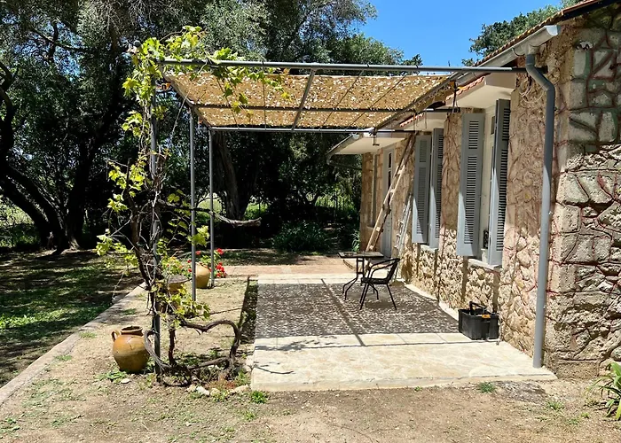 Black Olive Paramonas * Corfu (city)